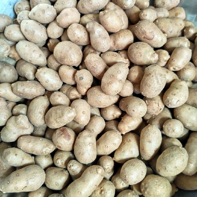 自制赛百味面包做法：打造家庭版美味三明治